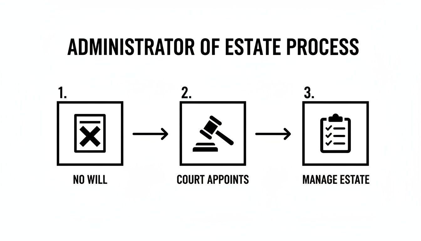 Flowchart illustrating the administrator of estate process: no will, court appoints, then manage estate.