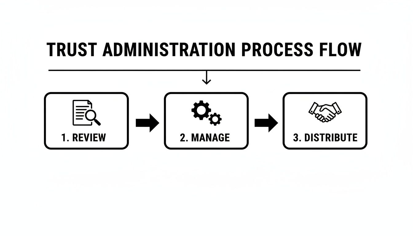 Flowchart illustrating the three steps of the trust administration process: review, manage, and distribute.